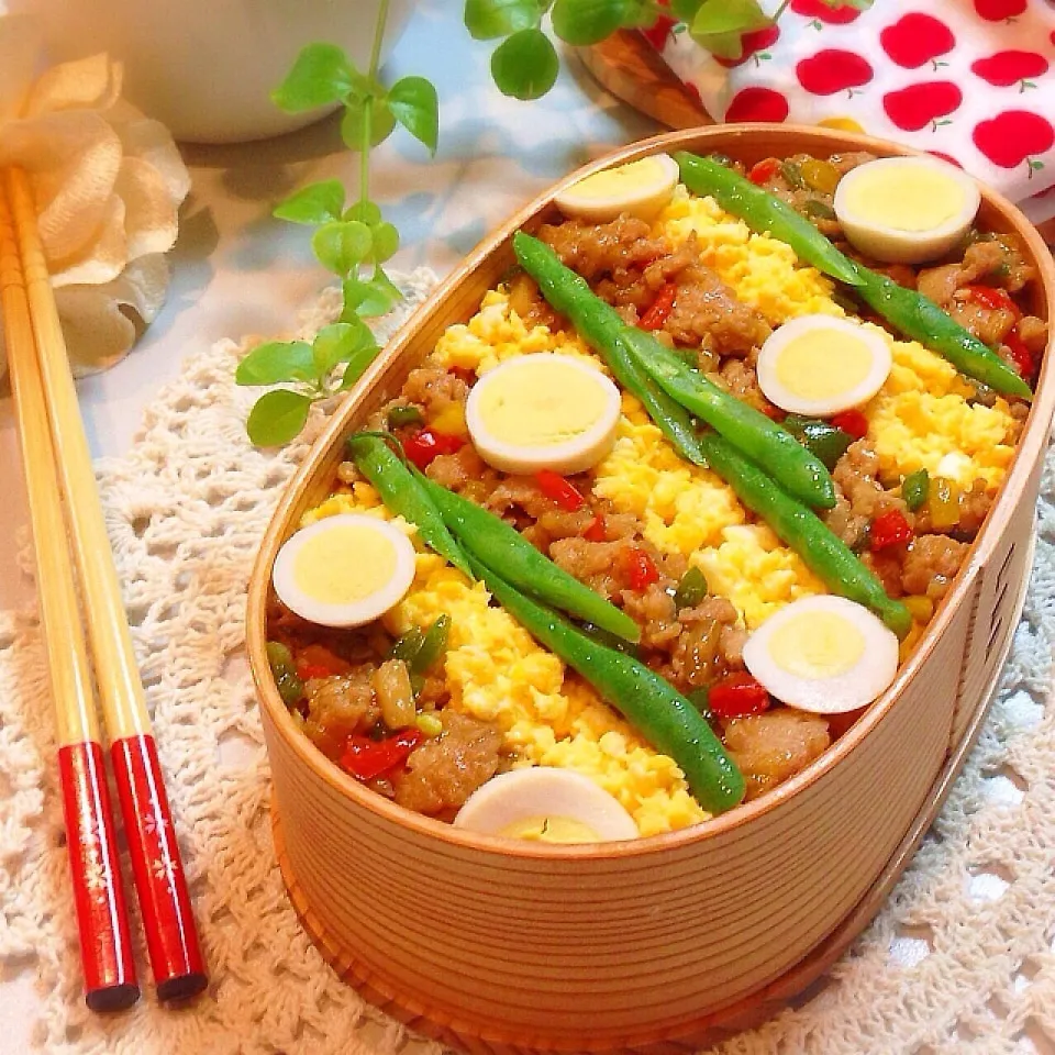 青椒肉絲の鶏そぼろ弁当♡﻿詰め方♡﻿|n＊さん