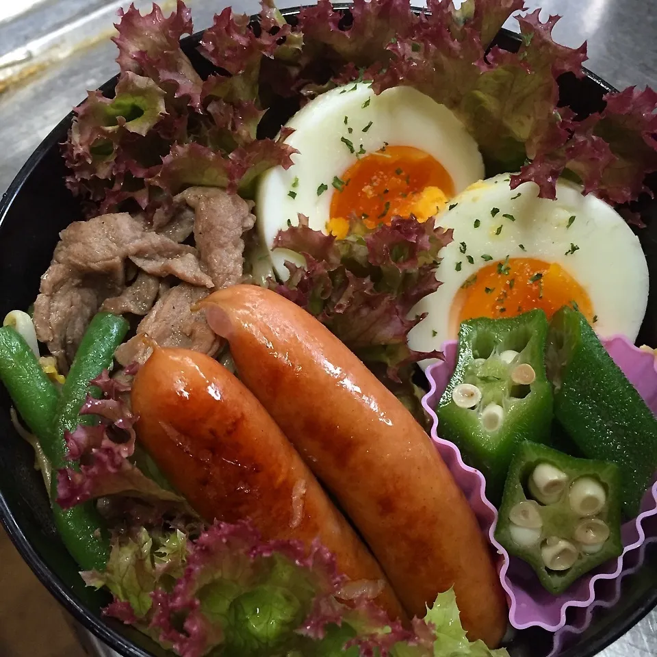 Snapdishの料理写真:夫 お弁当☆|あずきさん