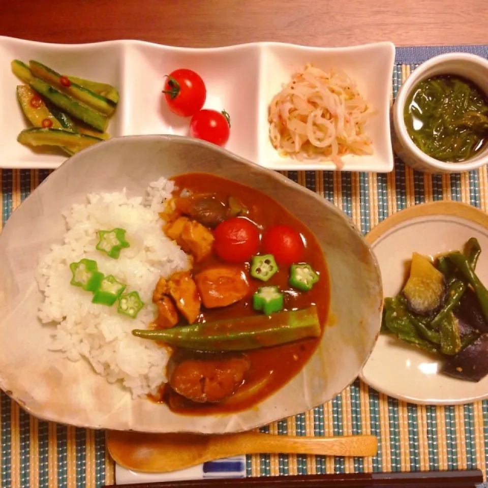 夏野菜カレー|ponyo-kokeshiさん