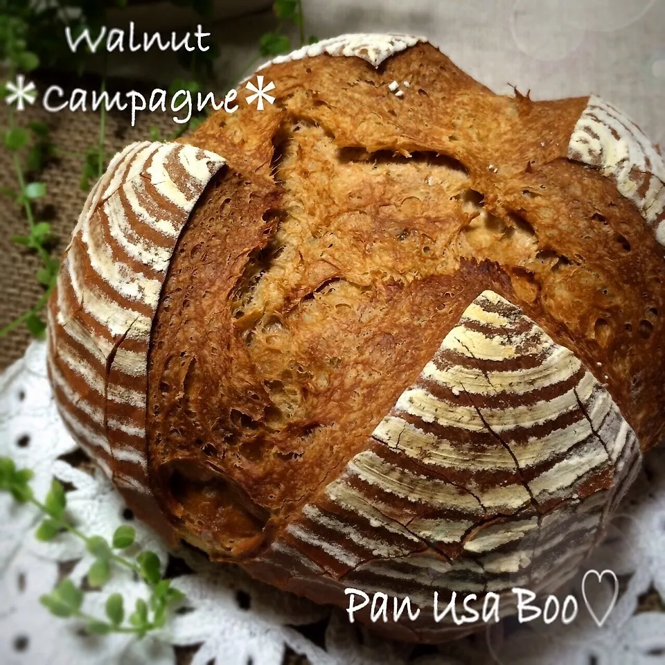 カンパ祭り♪パッカーンWalnut ＊Campagne＊|panusabooさん