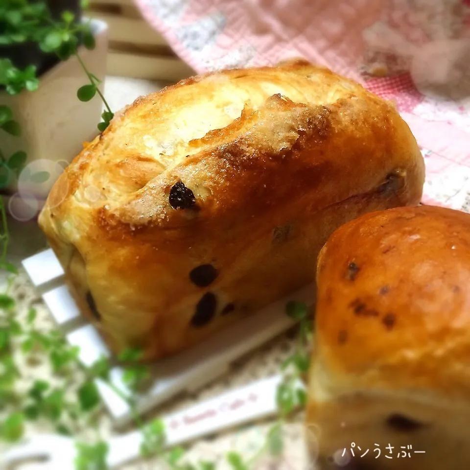 大好き♡レーズン酵母でレーズン食バン( ´艸｀)|panusabooさん