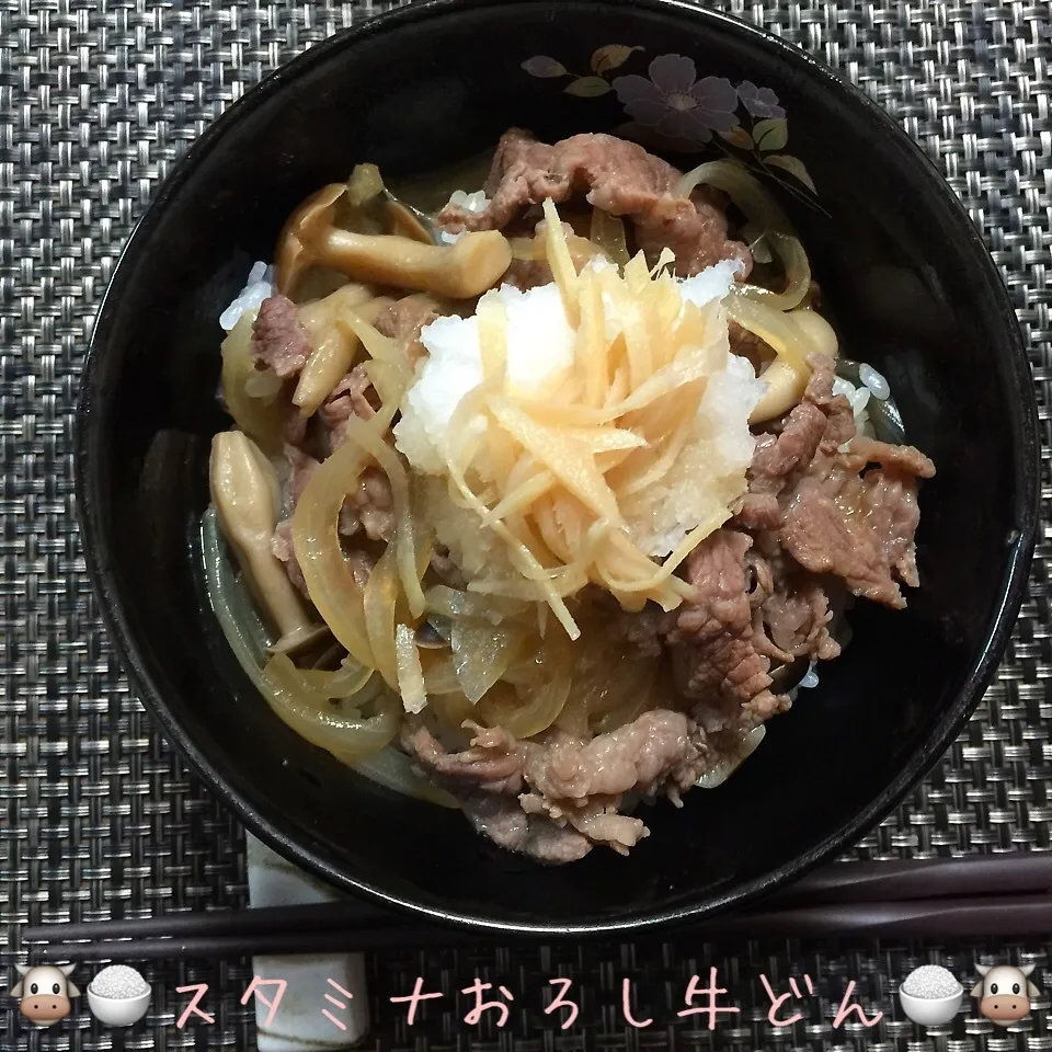 12/5(土) 夕食 スタミナおろし牛丼|♡Hiromi Shimatani♡さん