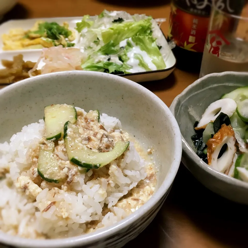 Snapdishの料理写真:秋の冷や汁定食〜♪|とみとみたろうの男子ごはん♪さん