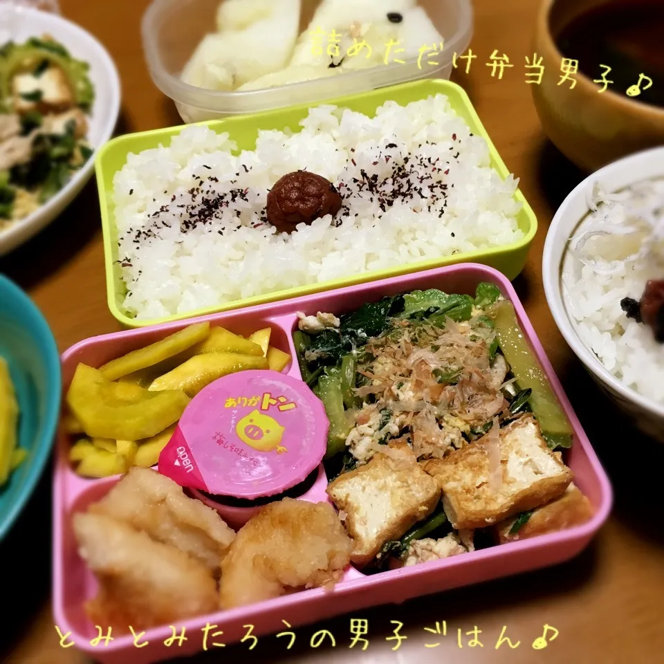 ズッキーニナムルと空芯菜とニラのゴーヤーチャンプル弁当♪|とみとみたろうの男子ごはん♪さん