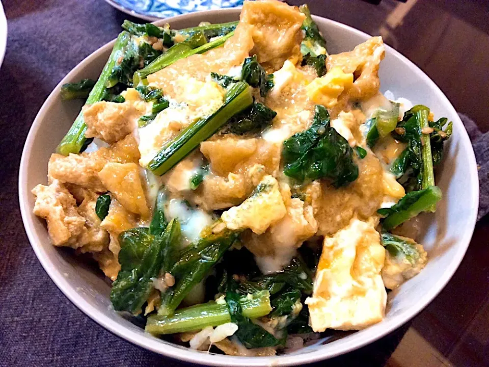 なんちゃって、衣笠丼😋|アライさんさん