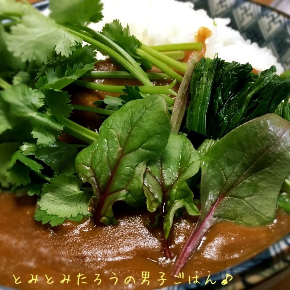 Snapdishの料理写真:赤軸サラダほうれん草✖︎茹でほうれん草のカレーライス♪|とみとみたろうの男子ごはん♪さん