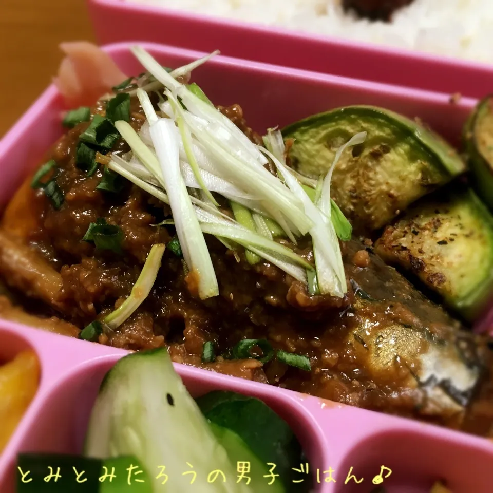 鯖の味噌煮弁当〜♪|とみとみたろうの男子ごはん♪さん