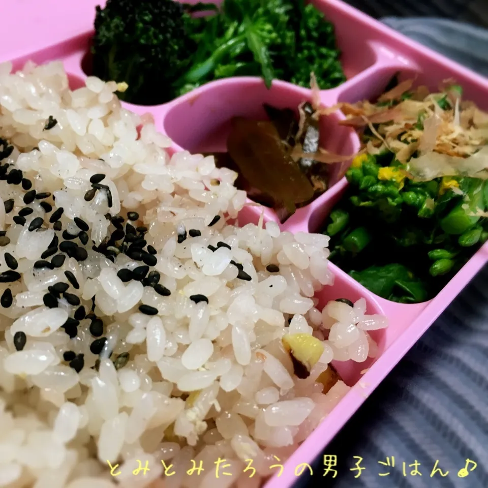 Snapdishの料理写真:春野菜と赤飯弁当♪|とみとみたろうの男子ごはん♪さん