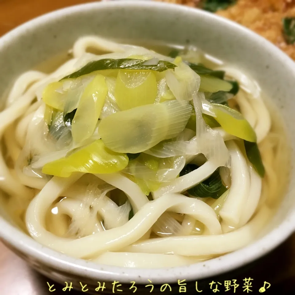 ネギたっぷりなうどん♪|とみとみたろうの男子ごはん♪さん