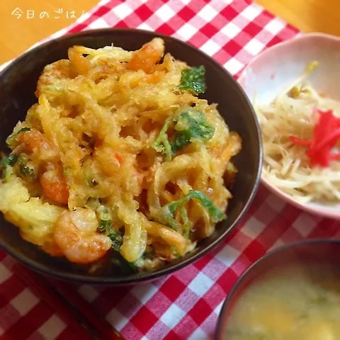 Snapdishの料理写真:海老のかき揚げ丼⭐︎|kaokaoさん