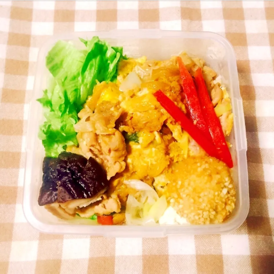 Snapdishの料理写真:お弁当 豚たま丼とさといもの玄米づつみ|しゃおろんさん