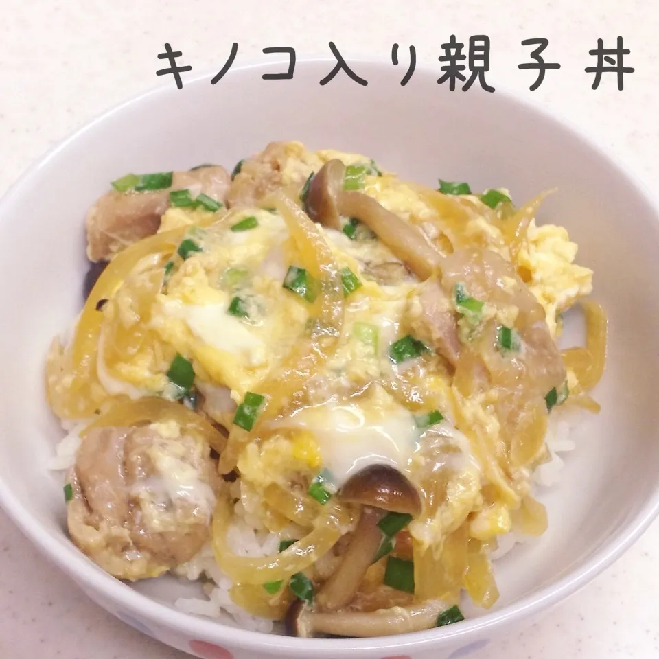 キノコ入り 親子丼|く〜ちさん