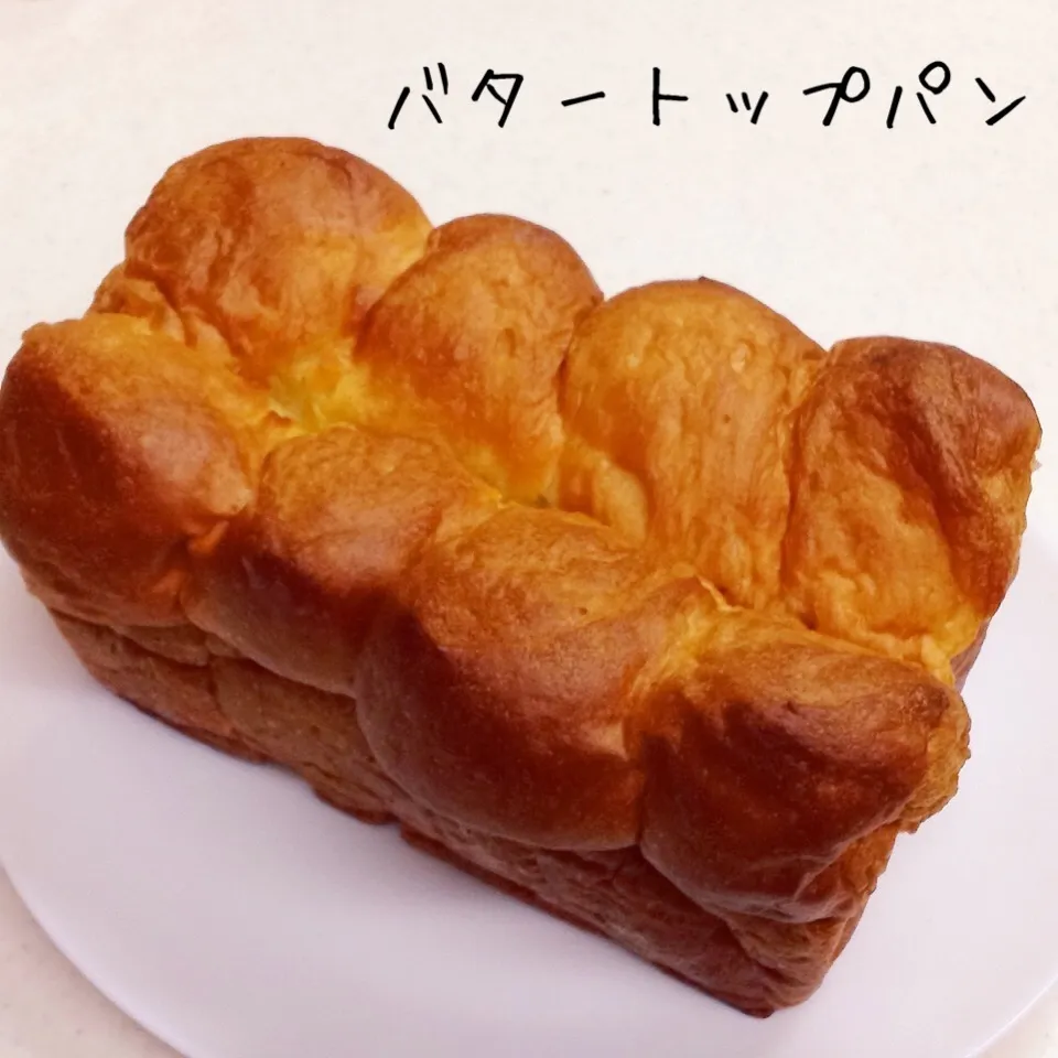 バターたっぷり バタートップパン|く〜ちさん