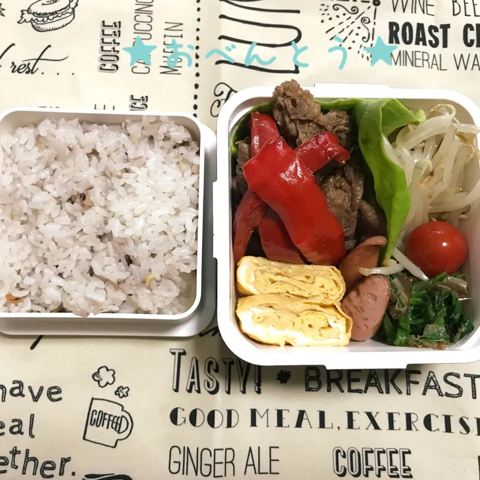 Snapdishの料理写真:★5/15お弁当★|Sさん