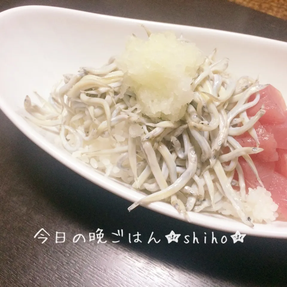 旬の釜揚げしらす丼・マグロ添え♡|Sさん