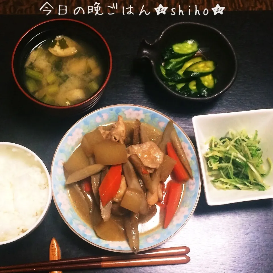 和食晩ご飯★根菜と鶏肉の煮物・他|Sさん