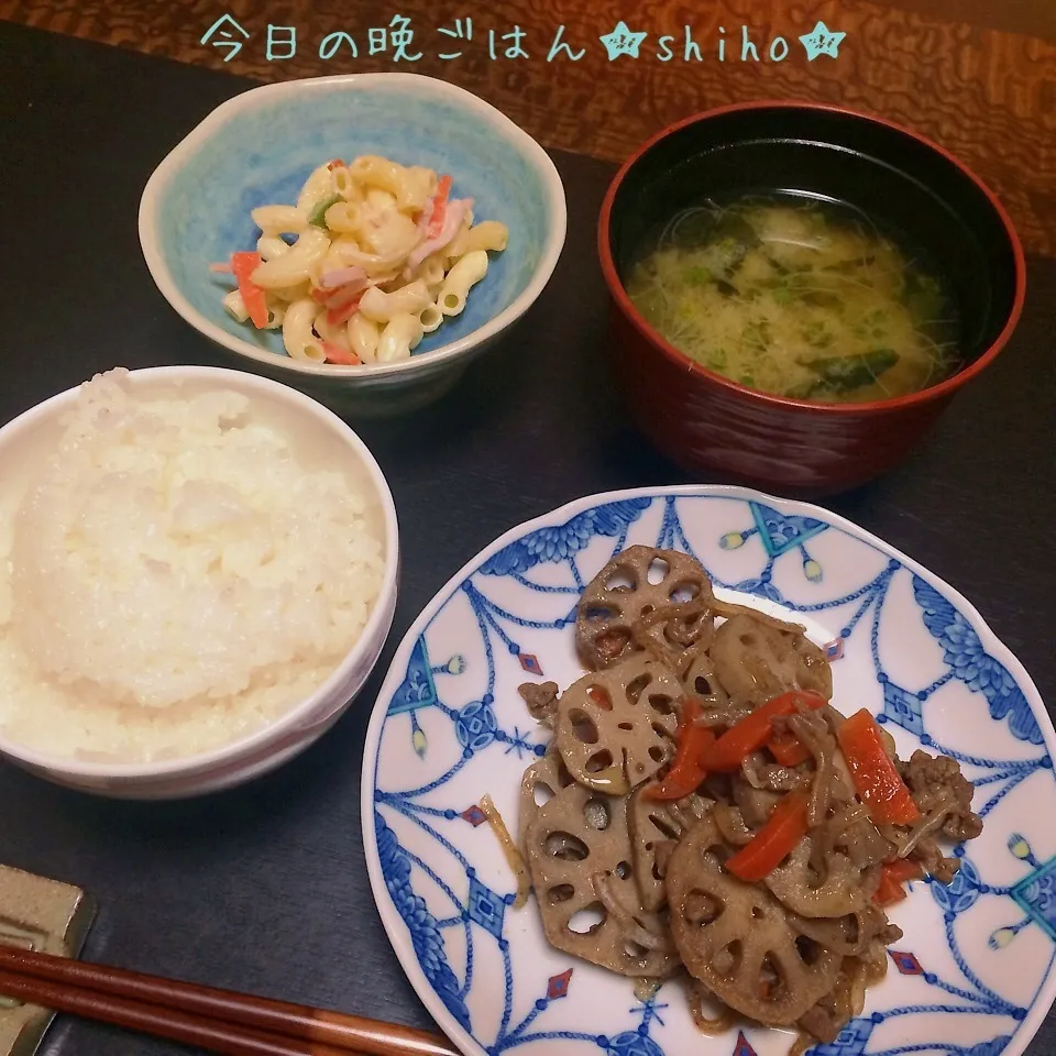 Snapdishの料理写真:根菜と牛肉の炒め煮・他|Sさん