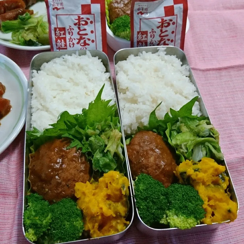 Snapdishの料理写真:デミグラハンバーグ弁当🍱|ひなちゃんさん