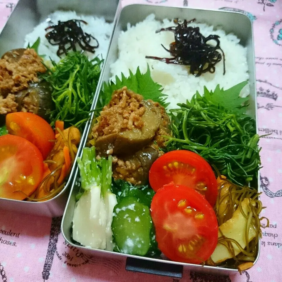 麻婆茄子弁当🍱|ひなちゃんさん