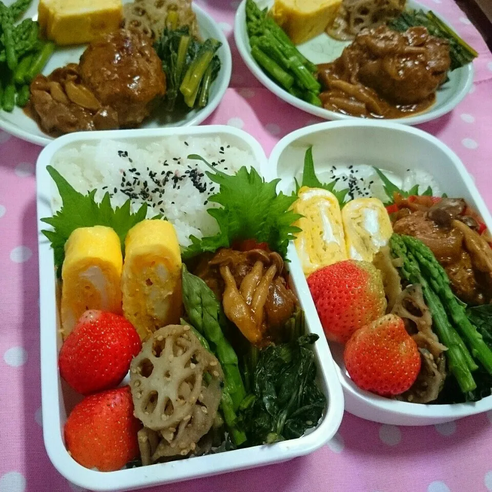 デミグラ煮込みハンバーグ弁当🍱|ひなちゃんさん