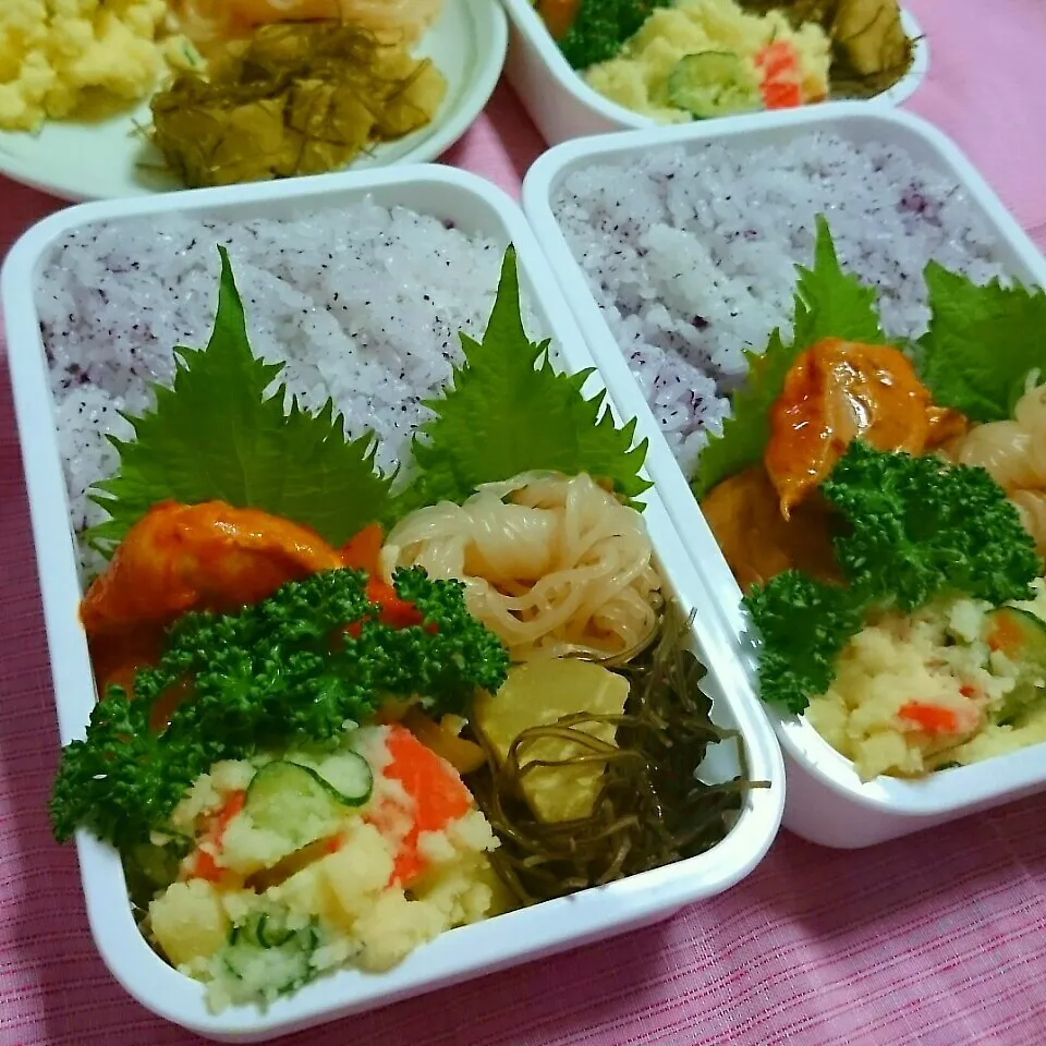 鶏ももトマト煮弁当🍱|ひなちゃんさん