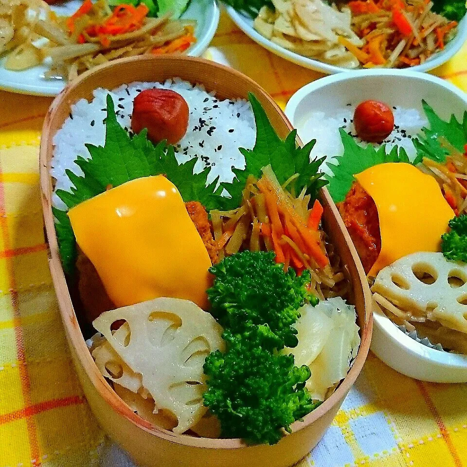 チーズ煮込みハンバーグ弁当🍱|ひなちゃんさん