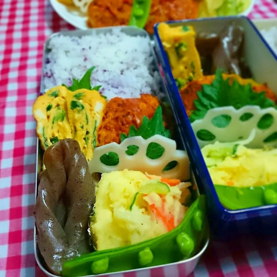 Snapdishの料理写真:煮込みハンバーグ弁当|ひなちゃんさん