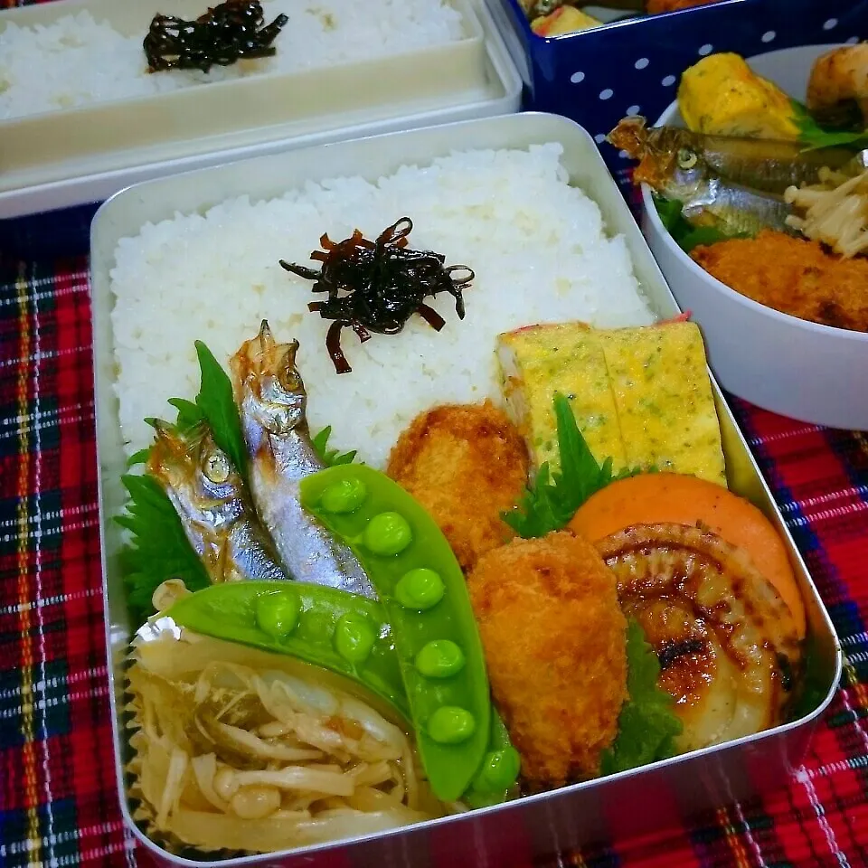 ししゃもとカレーコロッケ弁当。|ひなちゃんさん