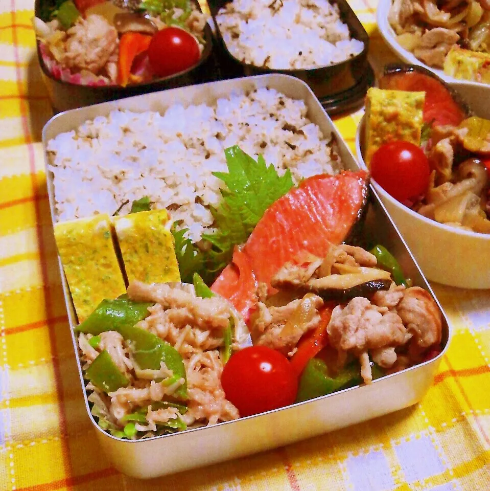 焼き鮭と野菜炒め弁当。|ひなちゃんさん