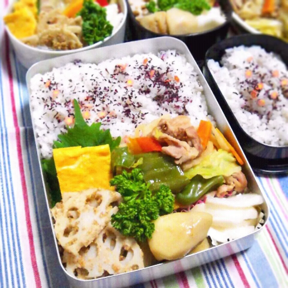 Snapdishの料理写真:野菜炒め弁当。|ひなちゃんさん