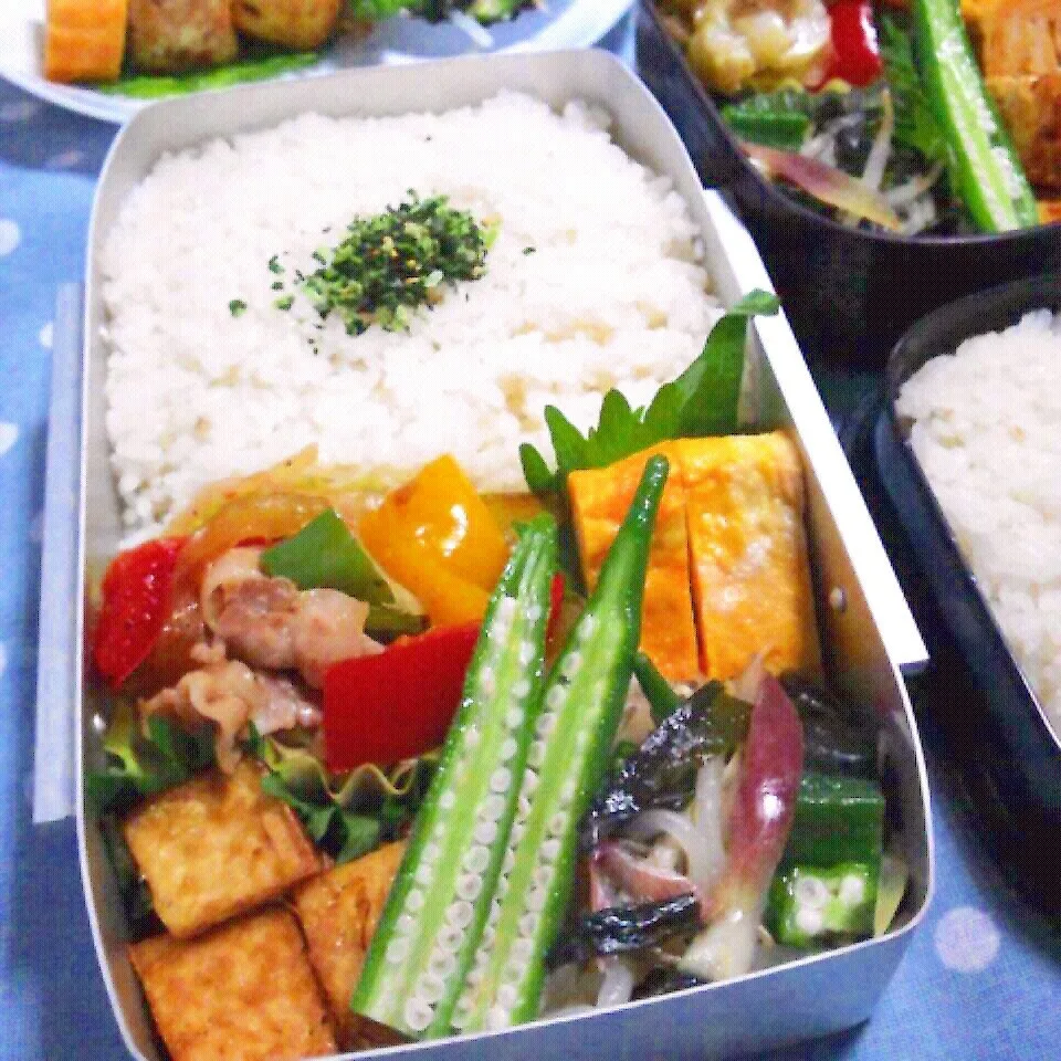 今日のお弁当(*^_^*)|ひなちゃんさん