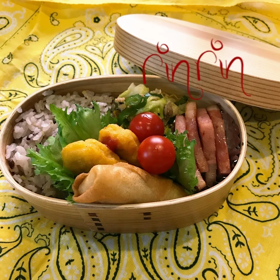 Snapdishの料理写真:5.8 自分弁当～無限∞春キャベピーマン♪|rinrin*mama*さん