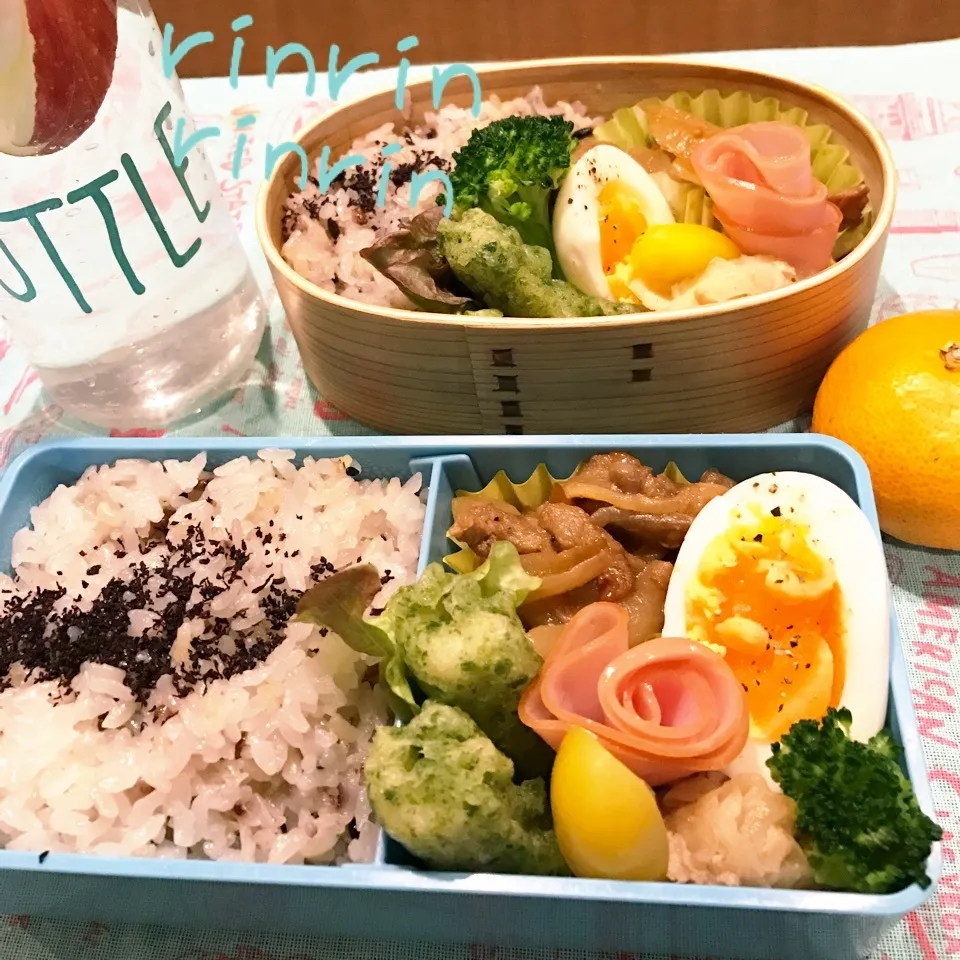 Snapdishの料理写真:12.12 高3男子弁当＆自分弁当～プルコギ♪|rinrin*mama*さん