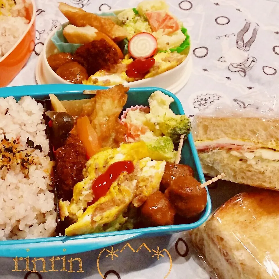 Snapdishの料理写真:2-8 高２男子弁当&自分弁当～肉オムレツ♪|rinrin*mama*さん