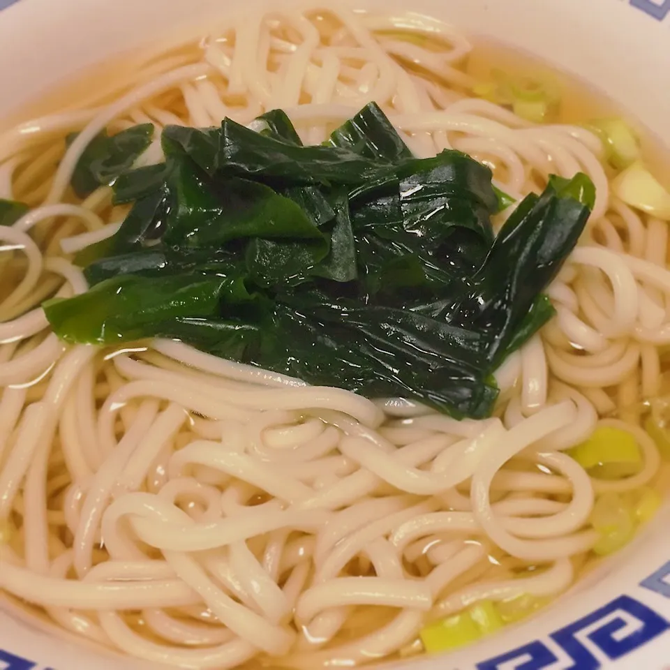 わかめうどん|わさびまめさん