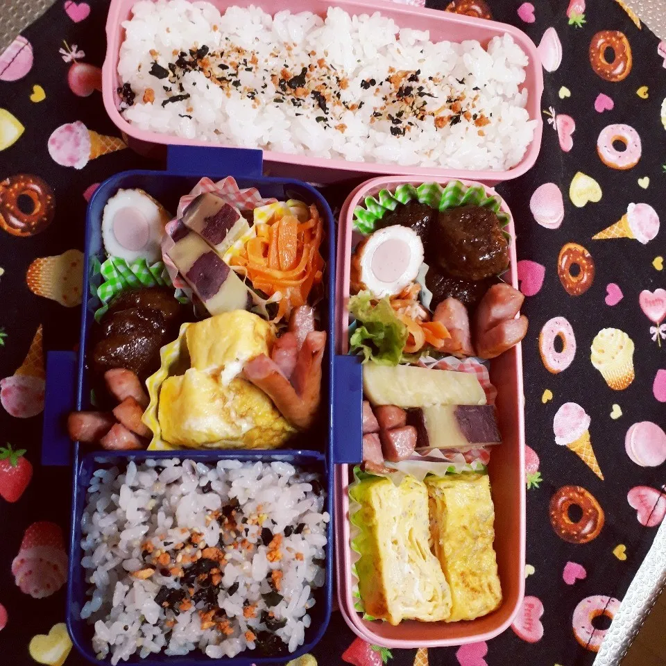 Snapdishの料理写真:中学一年生🌾と三年生の🍱お弁当|yukinkoさん