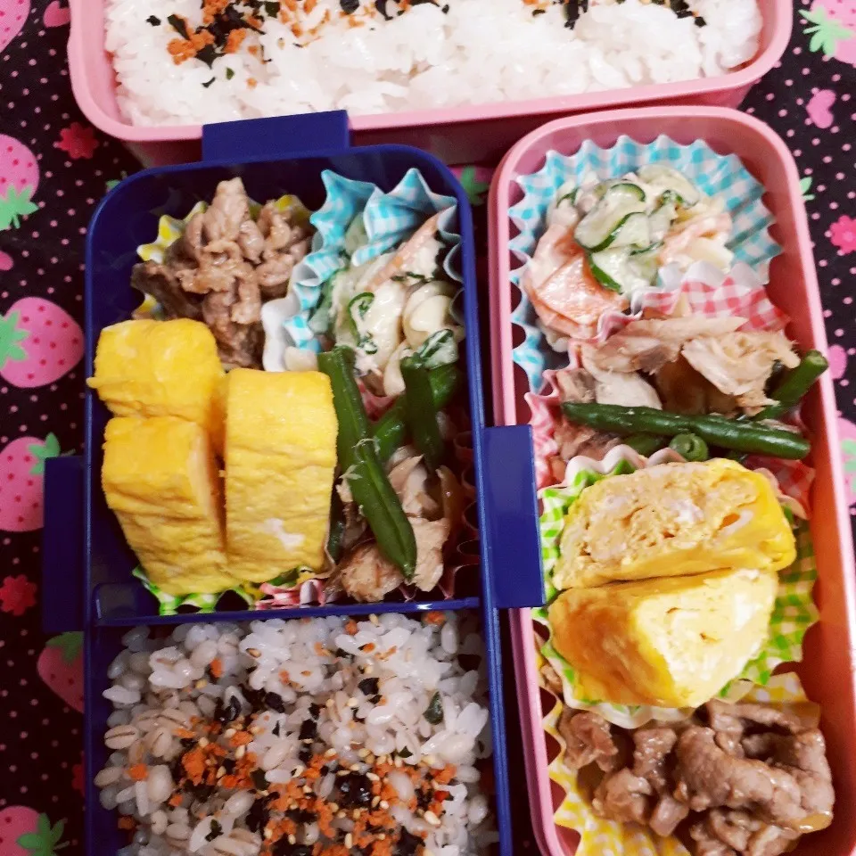 中学一年生🌾と三年生の🍱お弁当|yukinkoさん