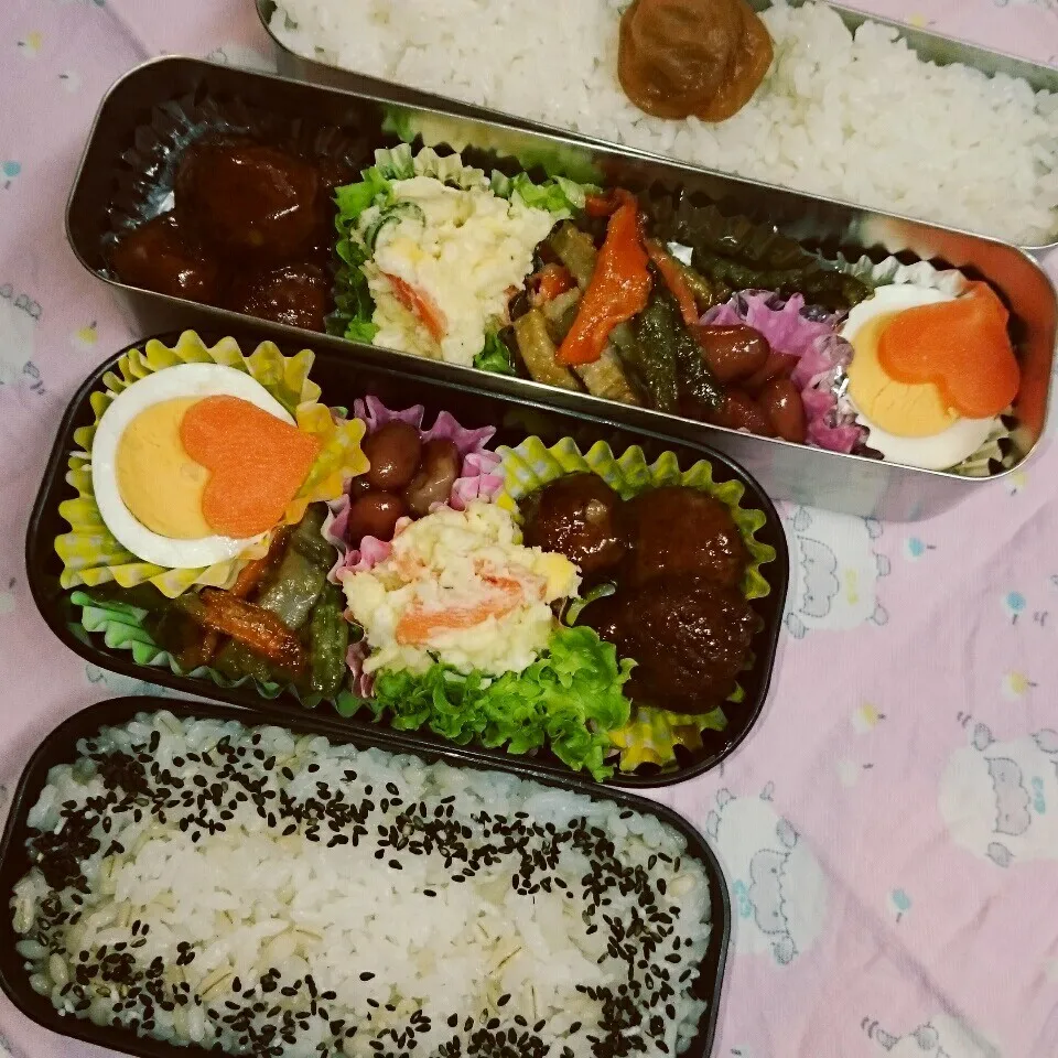 Snapdishの料理写真:中学2年生🍙お弁当|yukinkoさん