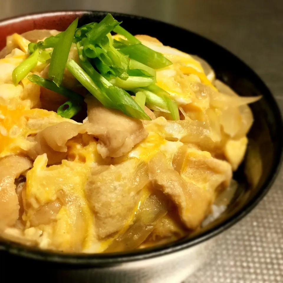 ふつーの親子丼( ´⚰︎` )|あるぱかさん