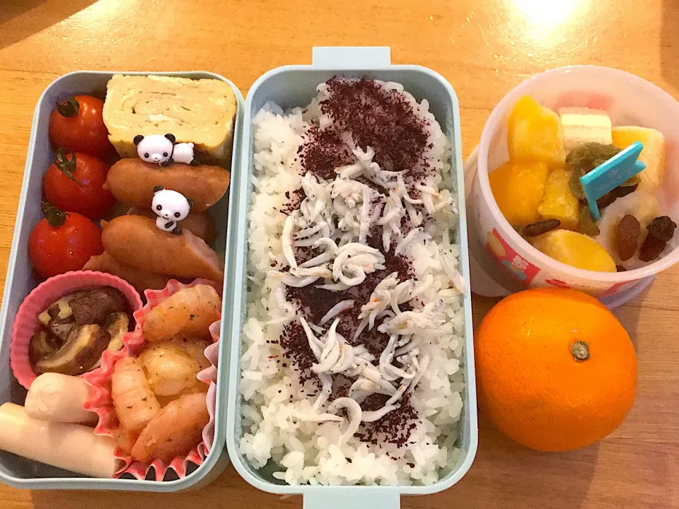 今日のお弁当 #中学生弁当  #obento  #lunchbox  #🍱  #お弁当|かれんさん