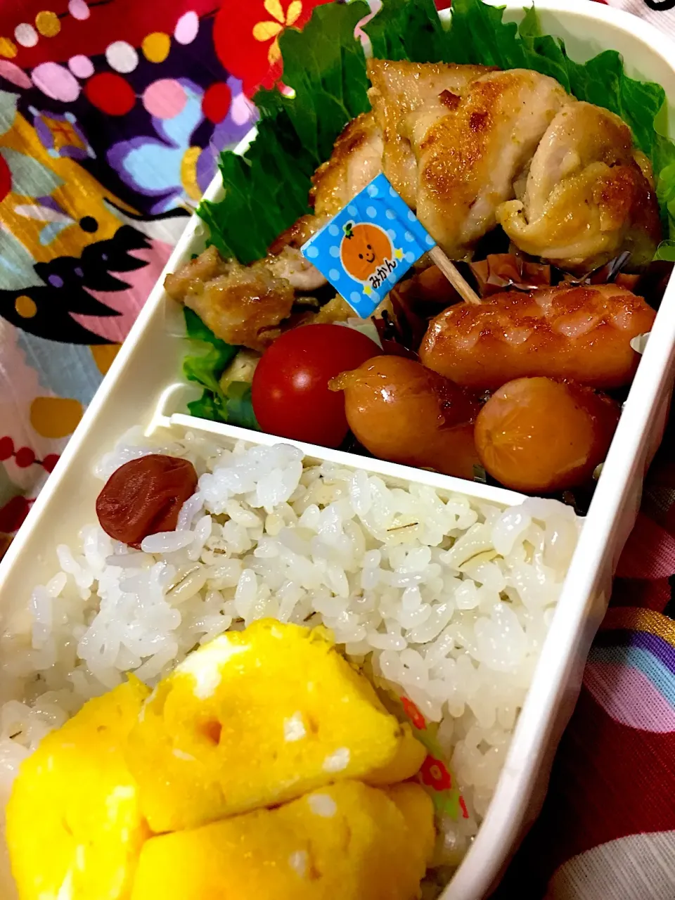 Snapdishの料理写真:お弁当|かりんかさん