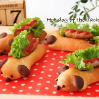 ダックスフンドのホットドッグ🌭🐶