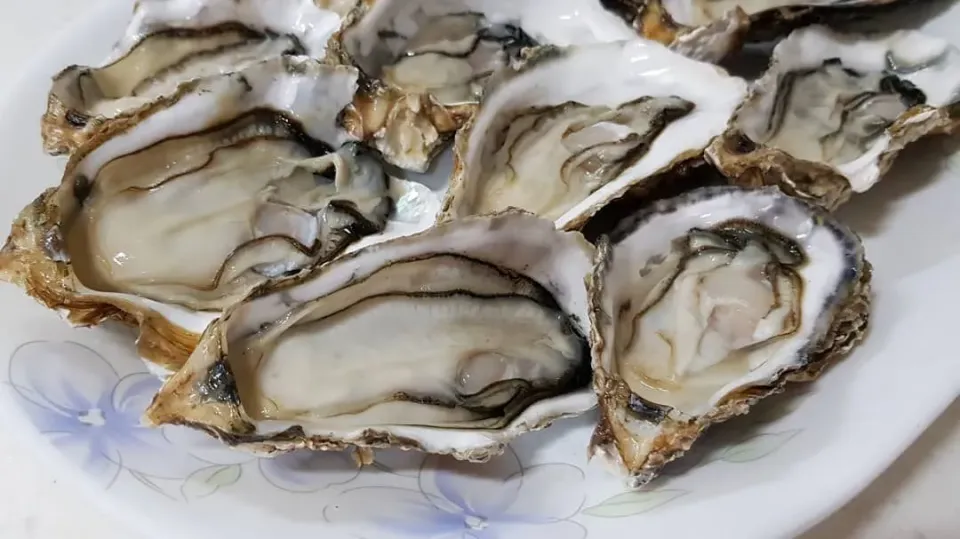 fresh oysters for appetizer|steven z.y.さん