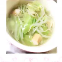 キャベツともやしの鶏ガラスープ🌟|せきせいいんこらぶさん