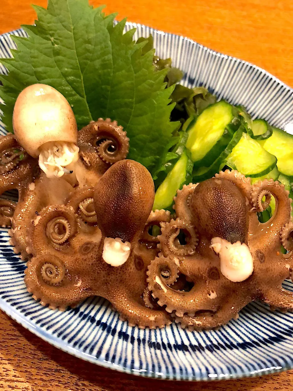 イイダコのボイル刺し|ヨーコさん