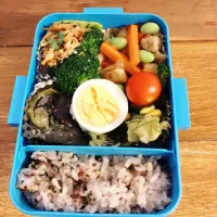 Snapdishの料理写真:今日のお弁当🍙|にしえるさん