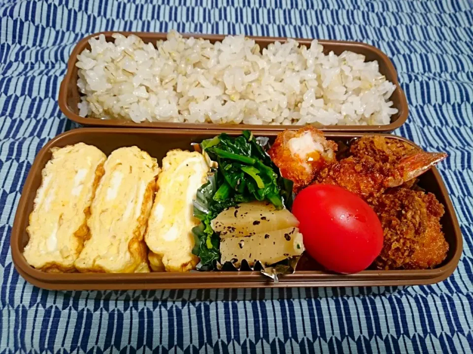 ☆今日のお弁当☆   パパのお弁当作り始めました。|hamamaさん