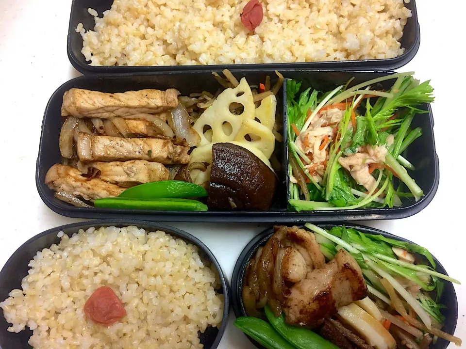 Snapdishの料理写真:#今日のお弁当|Victoryageさん