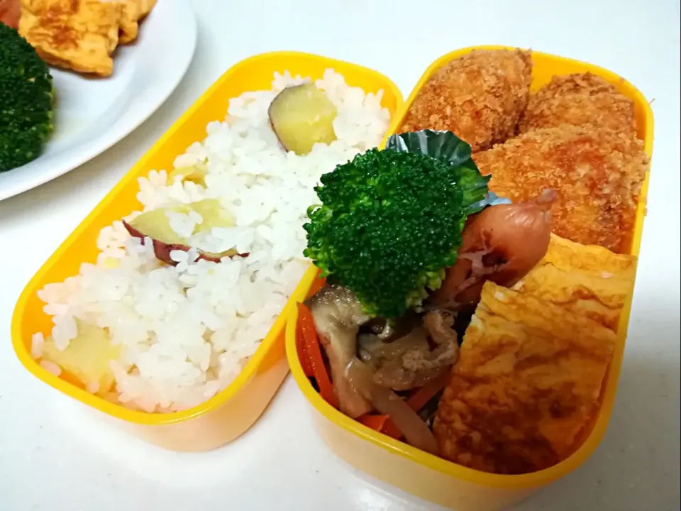 一口カツ弁当( ｡ﾟДﾟ｡)|たらひろさん