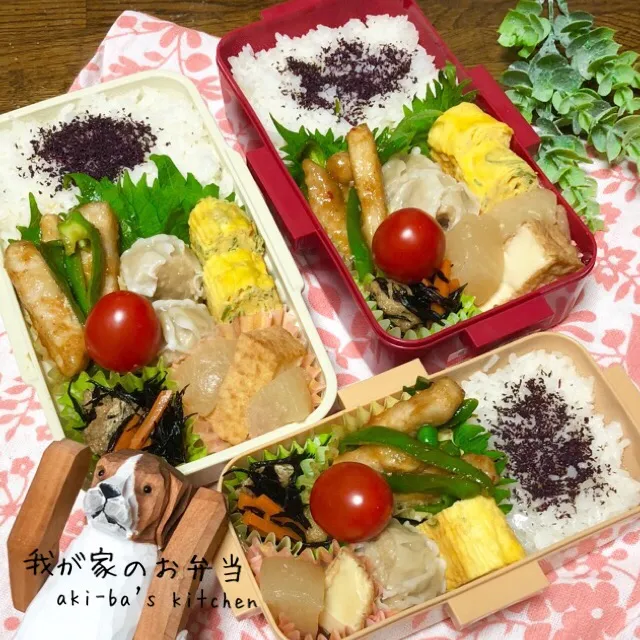 我が家のお弁当11/28|アキーバさん